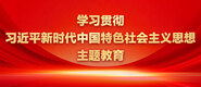 艹爆白虎逼学习贯彻习近平新时代中国特色社会主义思想主题教育_fororder_ad-371X160(2)